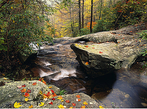溪流,岩石,树林,蓝脊公园大道,弗吉尼亚,美国