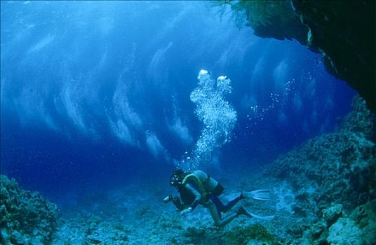潜水者,马尔代夫,印度洋