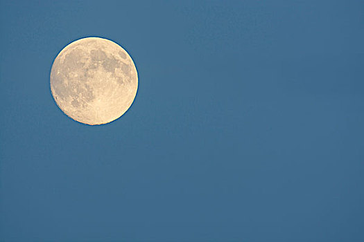 满月,天空,黄昏,奥登瓦尔德,黑森州,德国