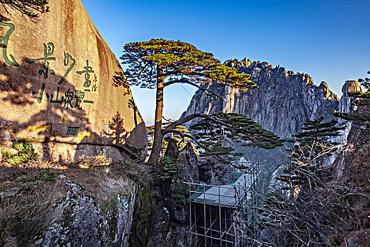 安徽省黄山市黄山风景区迎客松自然景观