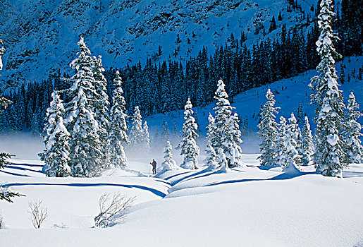 冬季风景,阿勒堡,奥地利