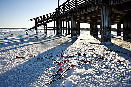 北戴河,大雪,雪后,海滨,浅水湾,对比,鲜艳,吸引,洁白,冬季,寒冷
