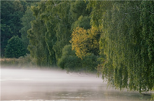 雾状,早晨,河