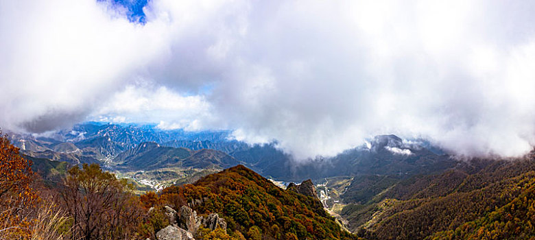 百花山