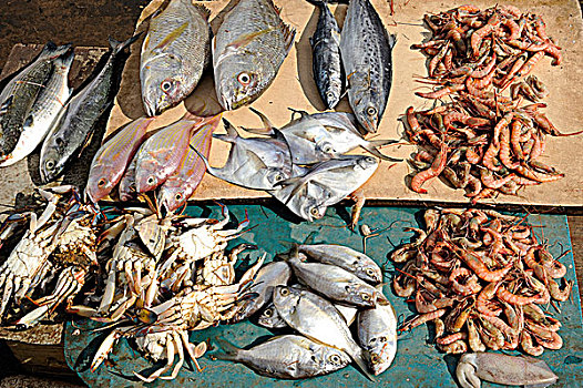 印度,安得拉邦,鱼,甲壳类