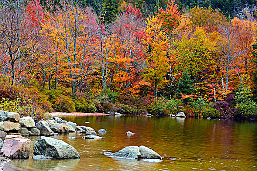 秋天,湖,弗兰科尼亚山峡州立公园,新罕布什尔,美国