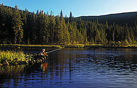飞钓,小,湖,区域,不列颠哥伦比亚省,加拿大