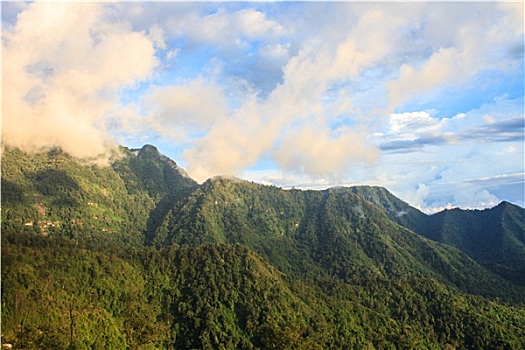 绿色,山,树林,上面