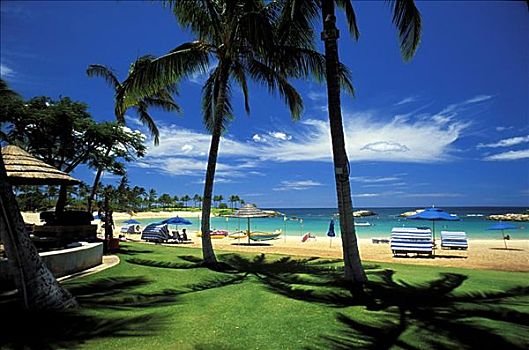 夏威夷,瓦胡岛,胜地,海滩,休闲椅,棕榈树