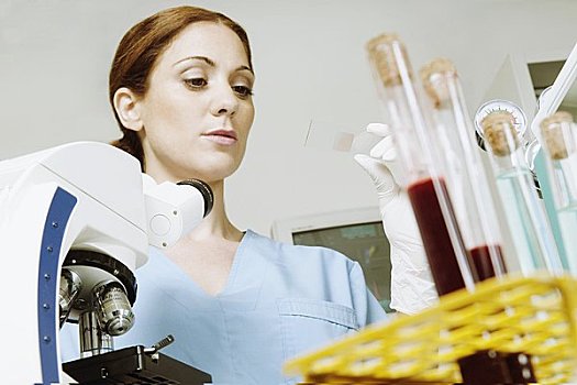 女性,实验室人员,分析,样品,实验室