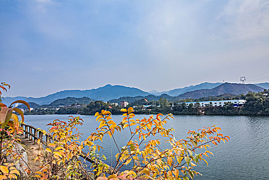 江西省景德镇市的得雨生态园自然景观