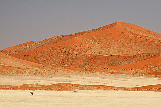 纳米比亚,纳米比诺克陆夫国家公园,索苏维来地区,图案,纳米布沙漠