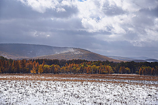 阿尔山雪景