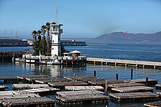 灯塔,渔人码头,渔船,哥拉德利广场,蓝天,北美洲,美国,加利福尼亚州,旧金山,风景,全景,文化,景点,旅游