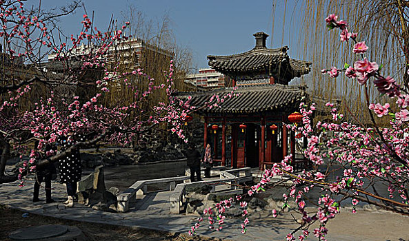 北京西城区大观园