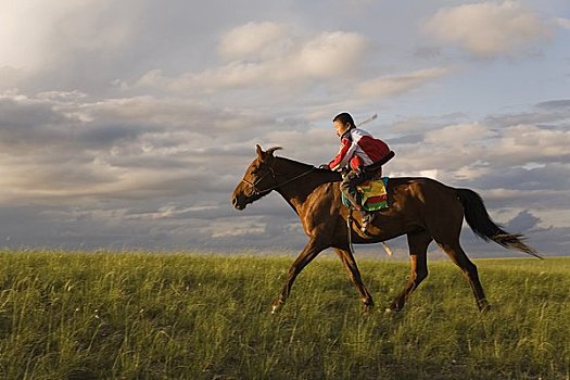 男孩,练习,骑马,内蒙古,中国