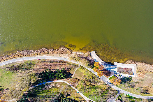 航拍河南郑州中原龙子湖智慧岛,龙子湖湖心岛