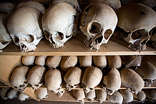 头骨,种族屠杀,排列,架子,教堂,卢旺达