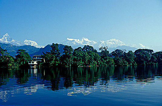 尼泊尔,波卡拉,湖