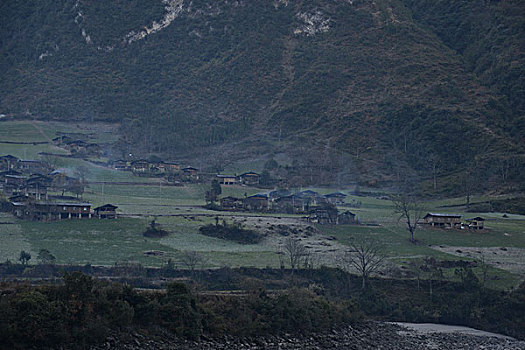 雾里村