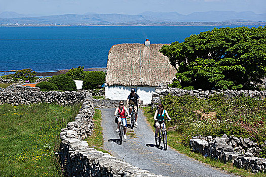 爱尔兰,戈尔韦,阿伦群岛,伊尼什莫尔岛尔,蒲屋,骑车,干燥,石墙,后面