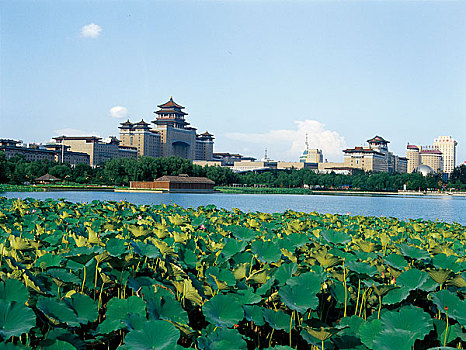 北京莲花池公园