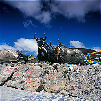 西藏拉萨米拉山口