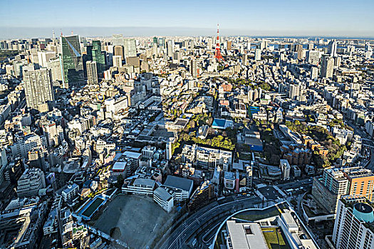 东京塔,高层建筑,建筑,东京,日本