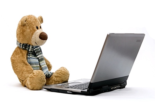 笔记本电脑,泰迪熊