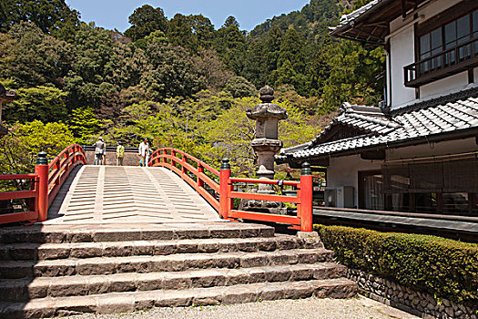靠近,桥,庙宇,奈良,偏爱,日本
