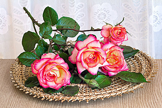 玫瑰,桌子,藤条,大浅盘