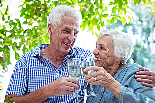 退休,情侣,祝酒,白葡萄酒,坐,桌子
