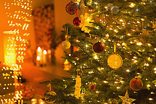 装饰,线,亮灯,圣诞树
