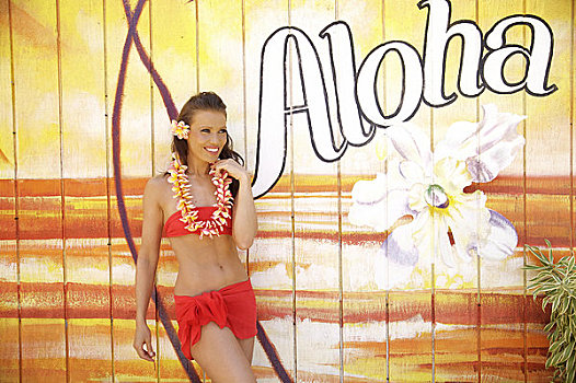 夏威夷,考艾岛,美女,跳舞,草裙舞,涂绘,背景,海滩