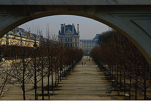 卢浮宫,排,树,巴黎,法国