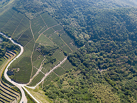 宁波白岩山电力风车