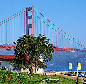 金门大桥,码头,旧金山