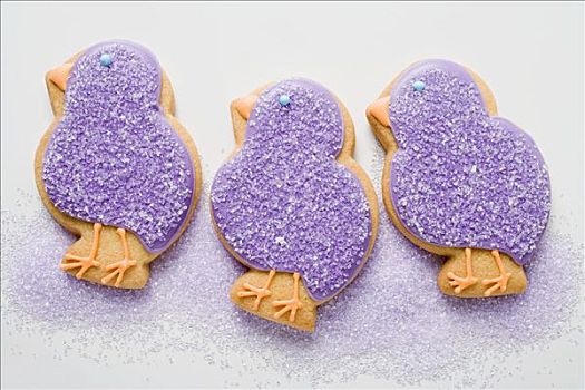 三个,复活节饼干,紫色,幼禽