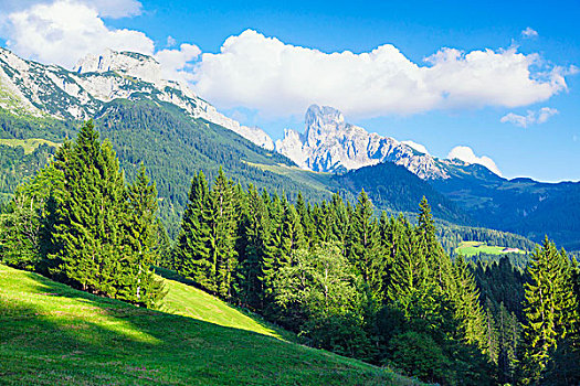 风景,高处,萨尔茨堡州,奥地利