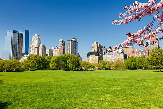 中央公园,春天,纽约