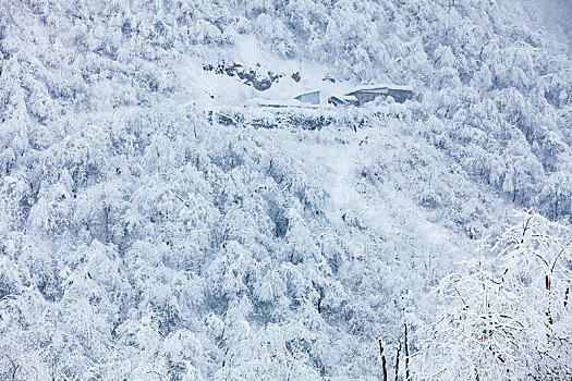 西岭雪山大雪的美丽风景