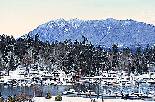 温哥华,划船,史坦利公园,雪中,不列颠哥伦比亚省,加拿大