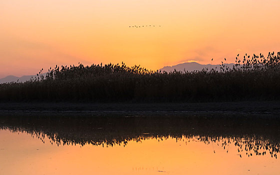 沙湖农场,沙湖景区