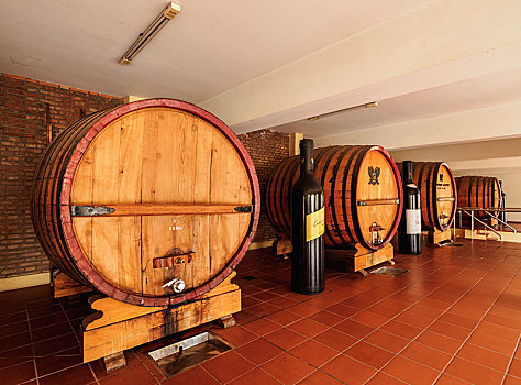 葡萄酒桶,门多萨,省,阿根廷,南美
