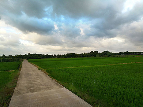 乡间小路,田园风光