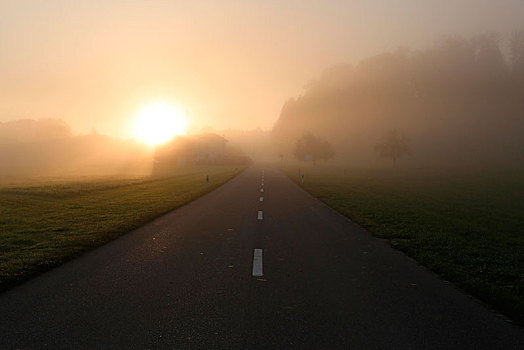 乡间小路,早晨,雾气,瑟尔高,瑞士,欧洲