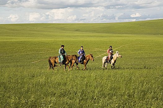 骑手,准备,圈拢,马,内蒙古,中国