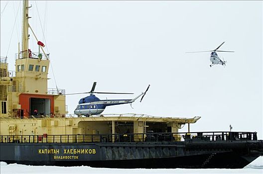 直升飞机,降落,甲板,俄罗斯,破冰船,南极