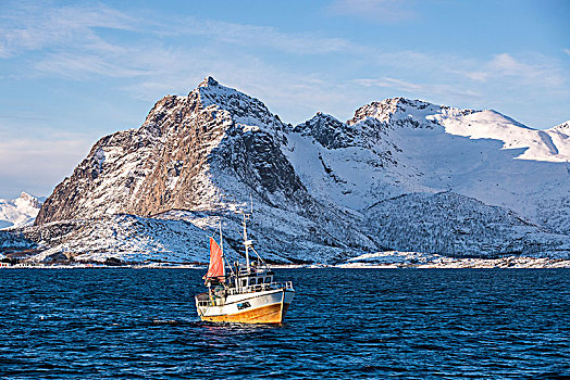 传统,渔船,抓住,网,雪山,背景,罗弗敦群岛,挪威,欧洲