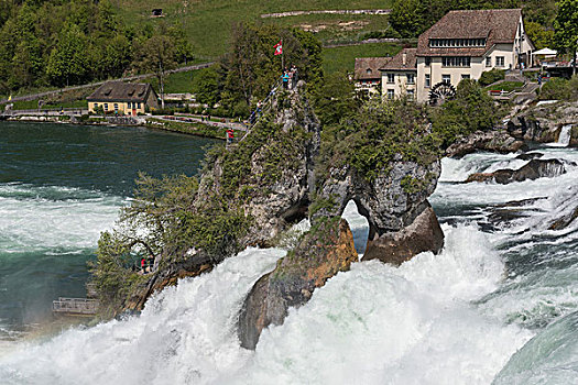 莱茵瀑布,靠近,沙夫豪森,瑞士,欧洲